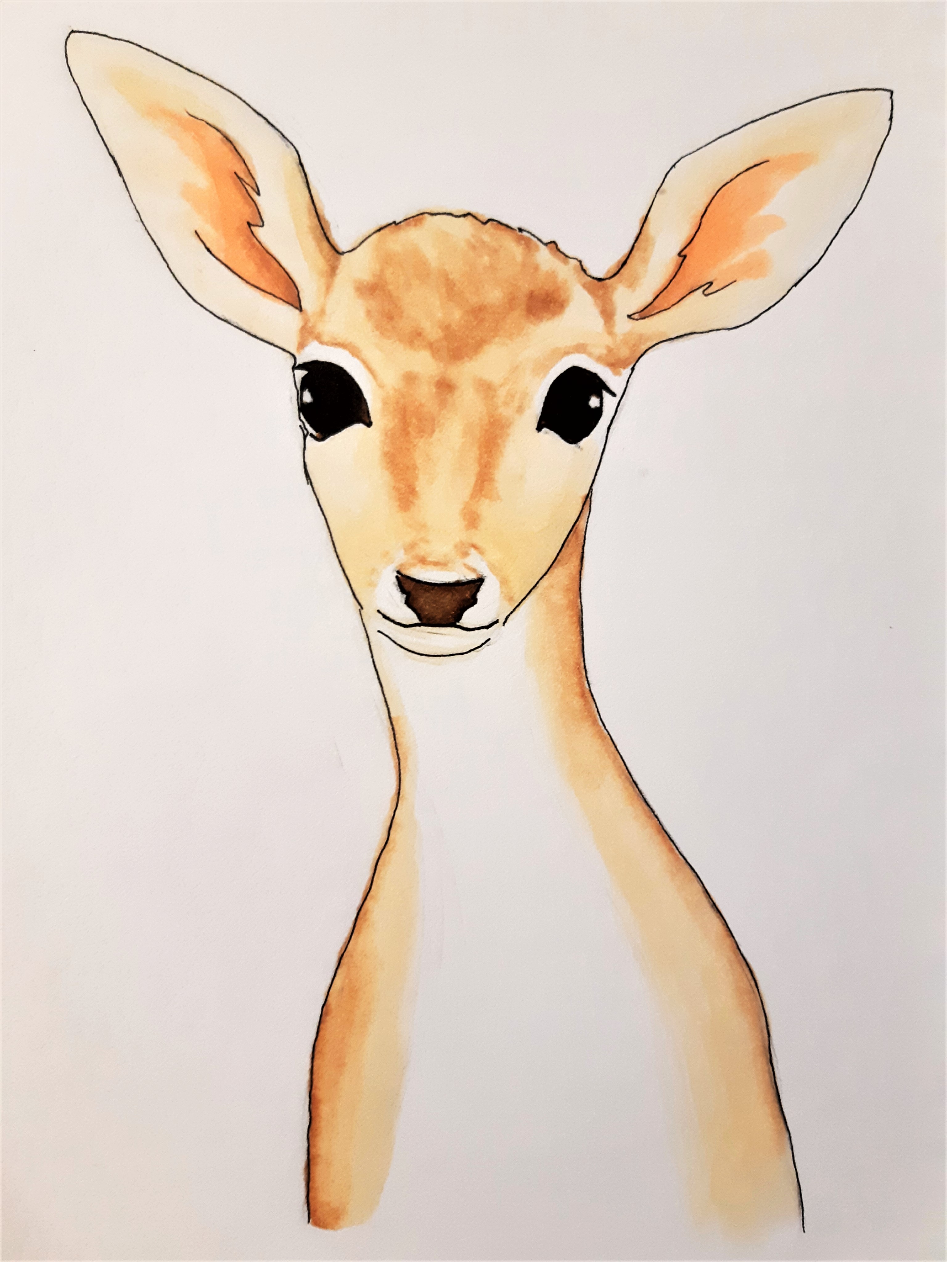 Baby deer - markers