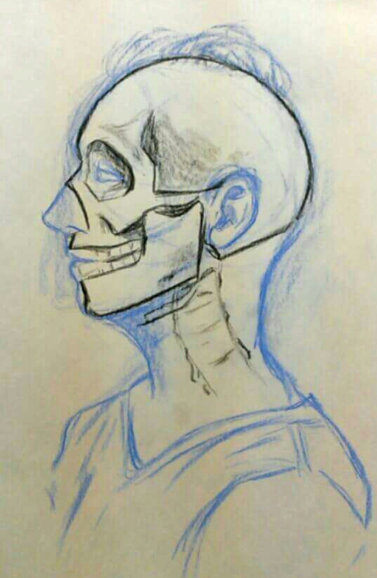 Life drawing skull